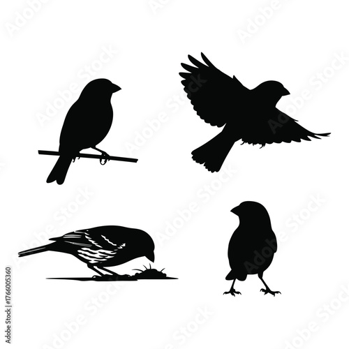 Four silhouette bird poses stationary perched flying and foraging capturing nature's graceful movements vector