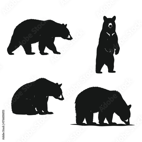Four silhouetted bears in various poses displaying natural bear behavior and wild animal forms vector