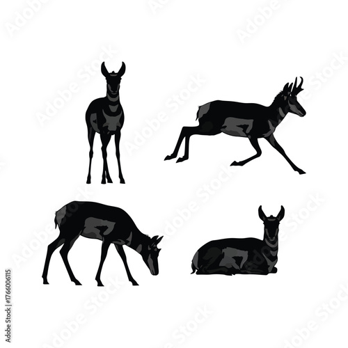 Silhouette collection four pronghorn antelopes diverse poses wildlife animals natural habitat nature scene vector