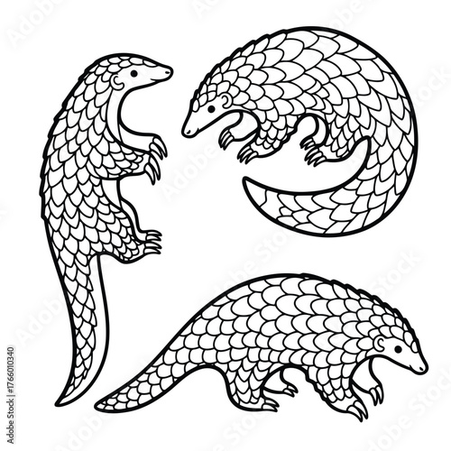 Vector art of three pangolins in different poses, black and white outline drawing