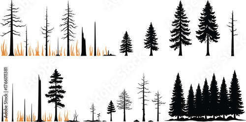 Wildfire forest comparison, burned vs healthy trees, environmental impact, nature destruction, forest recovery, ecosystem change, fire damage