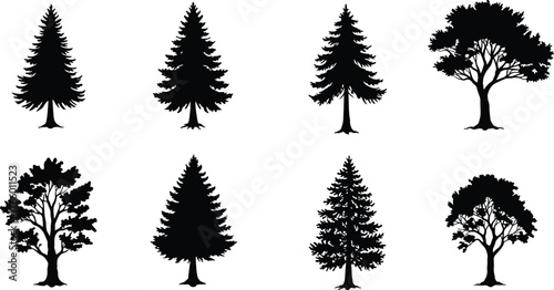Tree silhouette collection, black forest shapes, evergreen and deciduous trees, nature icons, botanical elements, isolated vector trees
