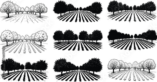 Tree-lined crop fields, symmetrical farming scenes, black and white landscape art, seasonal variations, rural perspective illustrations, agriculture design