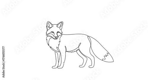 Elegant fox illustration in continuous line art style on a clean white background