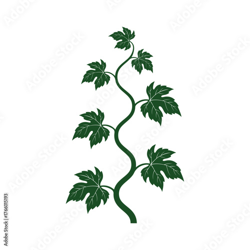 Elegant green vine leaf plant silhouette design with natural curling stem and detailed foliage for eco and botanical artwork.