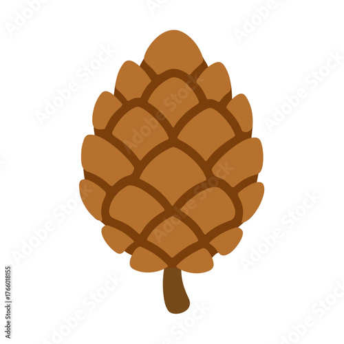 Fir cone. Hand drawn trendy flat style isolated. Natural winter and Christmas element. Ideal for holiday cards, stickers, menus, apps, posters forest themes, seasonal decoration. Vector illustration