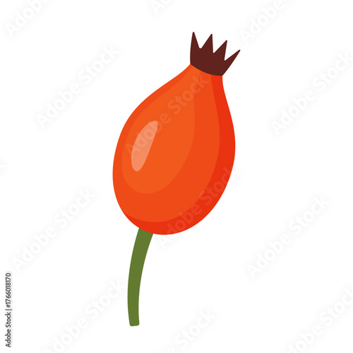 Rosehip. Wild rose berry. Hand drawn trendy flat style isolated. For stickers, menus, posters, herbal product packaging, tea labels, cosmetic branding, organic food promotions. Vector illustration