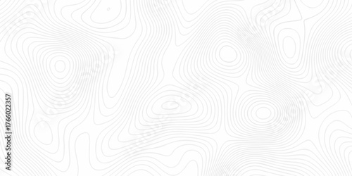 Abstract topography pattern seamless lines sea map modern design white background. Abstract digital topographic contour map concept space geometric strip grid line. Natural discovery of maps.	