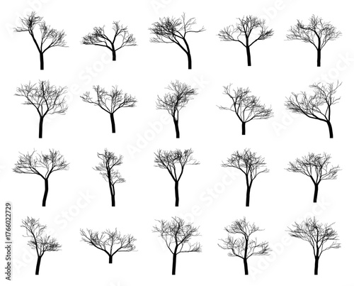 Vector art of collection of 20 bare deciduous trees, showcasing diverse branch structures and silhouettes