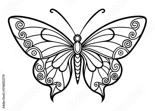 butterfly vector illustration