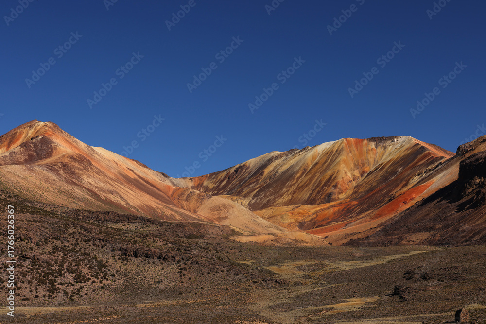 Naklejka premium The extraordinary colors of Suriplaza 5200 meters above sea level, Chile