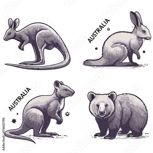 Australian animals illustrated in a cute and detailed style  