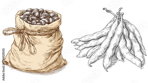 Vibrant Illustration of Beans and Bag with Vector Graphics