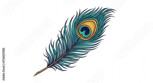 Elegant peacock feather illustration with vibrant colors on a white background