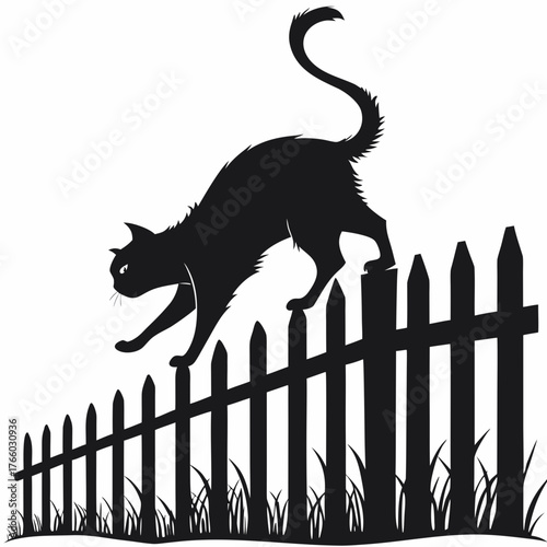 Silhouette of a cat walking on a fence
