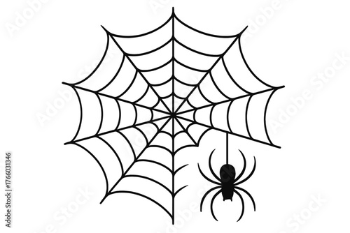 Halloween spider web vector featuring a black spider on a white background, depicting a dangerous insect for a horror banner and scary poster, with an isolated cobweb as a  illustration for an