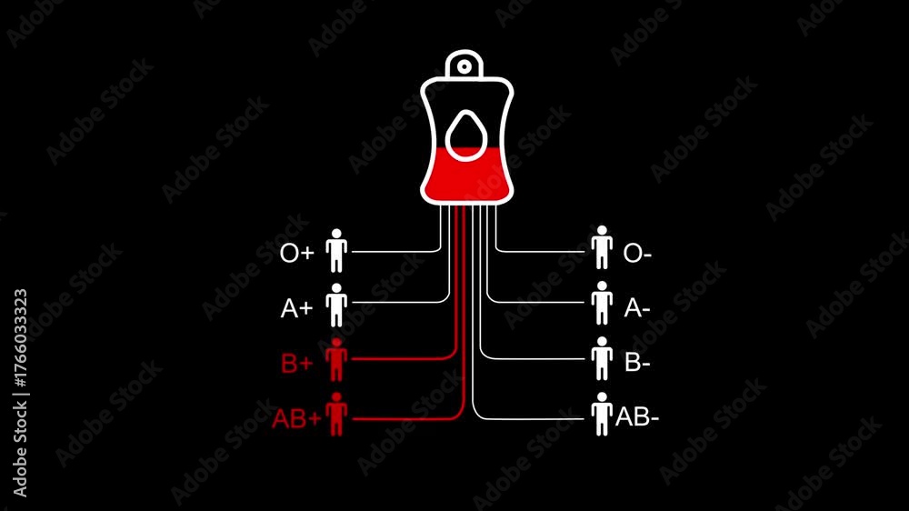 Type B Sample Blood Donation Compatibility Chart Showing B+ Blood Bag and Recipient ...