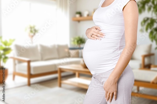 Pregnant young female in comfortable home Free Download Pregnant young female in comfortable home - GFXLoad
