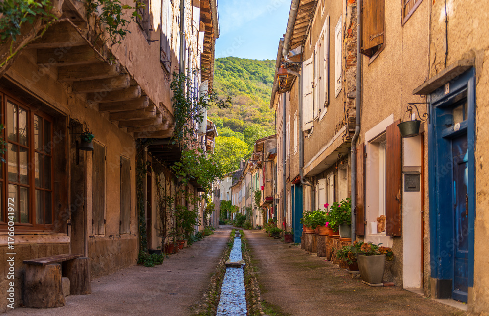 Fototapeta premium Narrow street in Durfort, in the Black Mountains, in the Tarn department, Occitanie region, France.