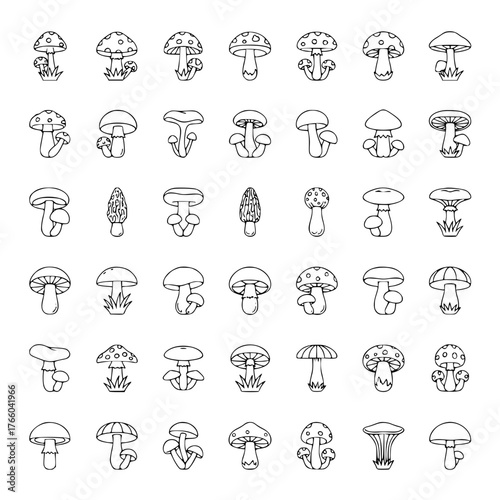 A vector set of forty-two simple, black-and-white line art icons illustrating a diverse collection of mushrooms and fungi species in different shapes and styles.
