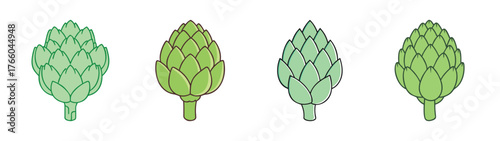 Illustration of green artichoke buds vegetable plant food healthy eating vegan diet ingredient fresh raw 
