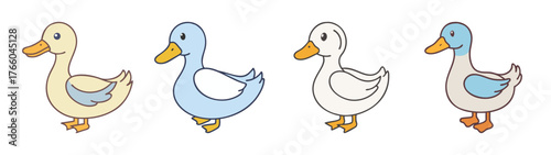Cartoon ducks illustration: cute ducklings in a row, vector graphic of waterfowl, farm animals, birds