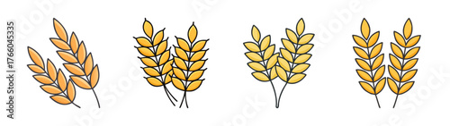 Illustration of wheat stalks, grain harvest, agriculture, and farming, wheat field drawing design