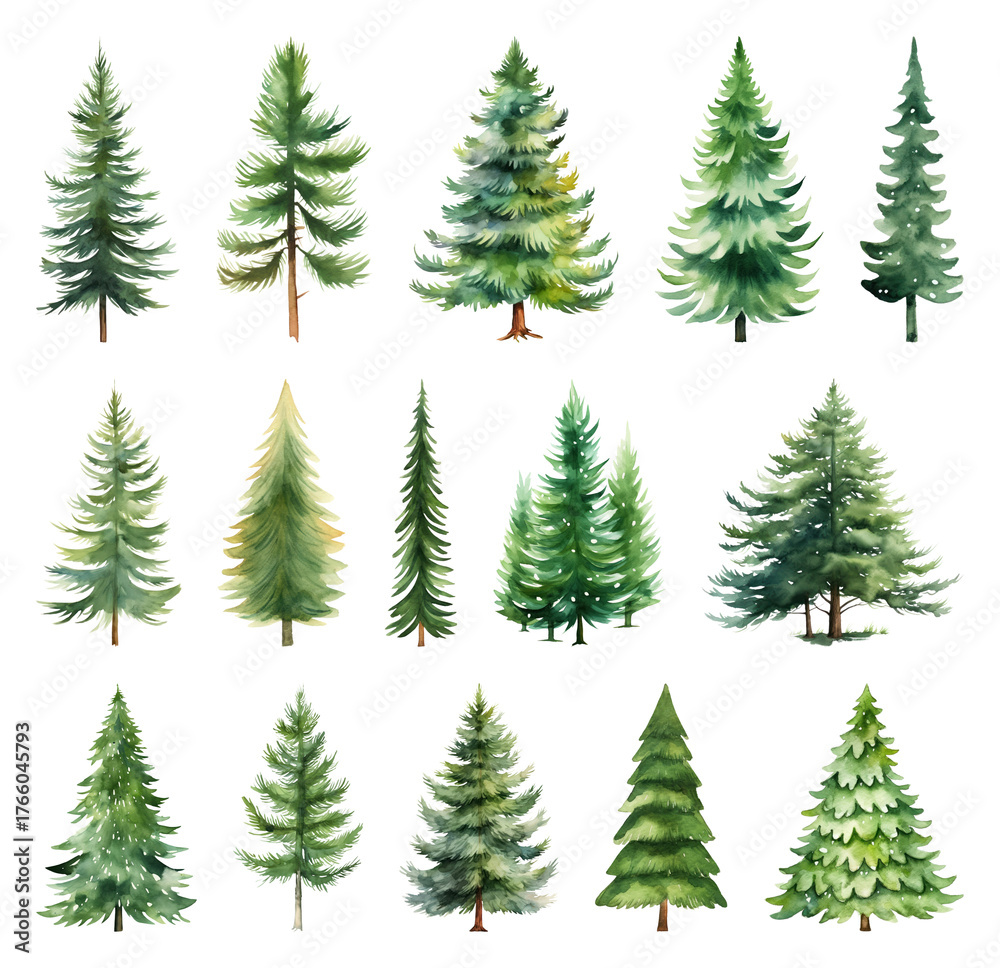 Obraz premium Watercolor evergreen trees collection.