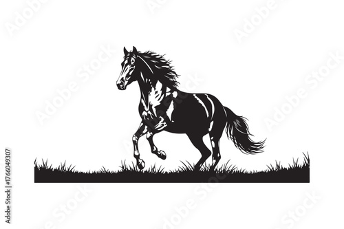 Majestic black horse galloping through tall grass silhouette