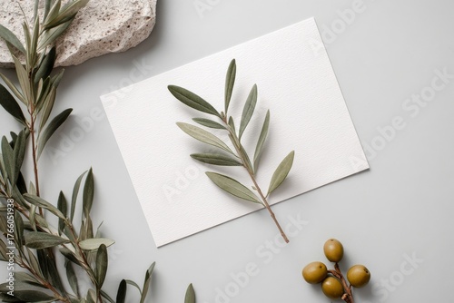 Olive Branch and Leaves Displayed on Textured Paper in a Natural Setting