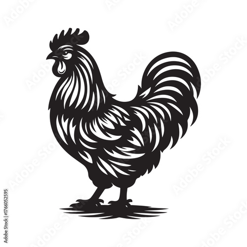 Striking black and white silhouette of a proud rooster
