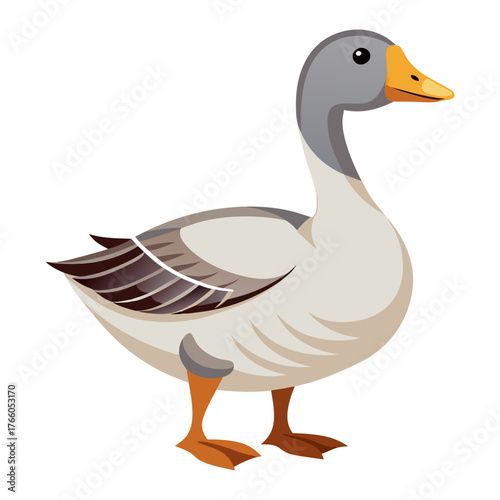 Illustration of a gray goose standing isolated on white background vector drawing image design art