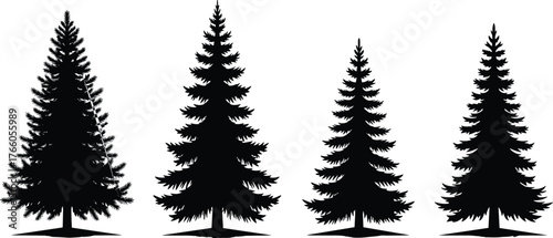 PrintConiferous tree silhouettes, pine illustration, forest vector, evergreen design, botanical shapes, nature graphic, tree pattern, woodland art, foliage elements, landscape style