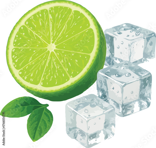 Green lime slice with ice cubes and leaves citrus fruit