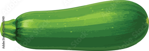 Green zucchini vegetable isolated on white background