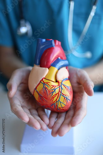 Photos Doctor using heart model to explain blood flows direction.