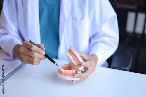 Dentist uses a dental model to explain oral health and treatments to a patient.