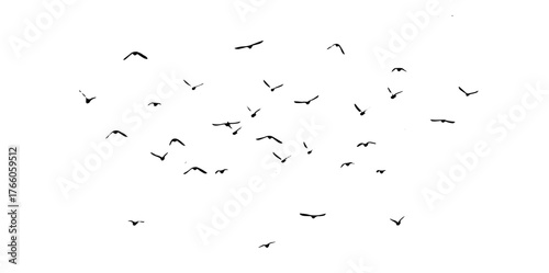 Flying birds silhouette flock. hand drawing. Not AI. Vector illustration