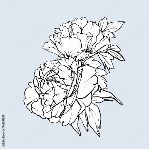 Peony line art sketch. Bouquet Peony vector flower illustration. Hand drawn outline flowers painted by black inks. Flowers Engraving for wedding invitations, save the date cards and coloring page