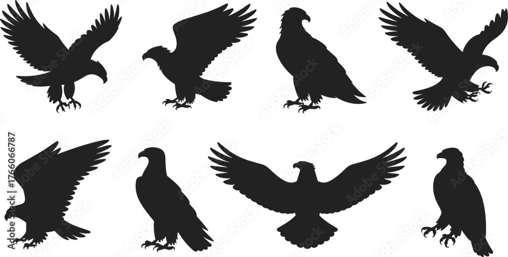 Obraz premium Eagle silhouette collection, majestic bird poses, flying eagle vector, perched raptor shapes, wildlife icon set, flat vector illustration