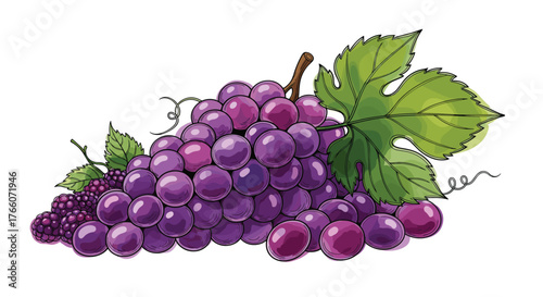 A bunch of fresh grapes with a green leaf, ideal for healthy eating, winemaking, and illustrating natural food products.