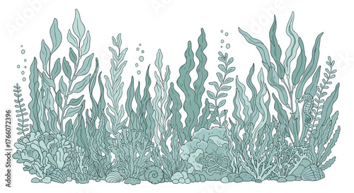 Aquatic plants illustration with blue-green foliage, featuring various seaweed, kelp, and aquatic vegetation for a vibrant underwater scenery.