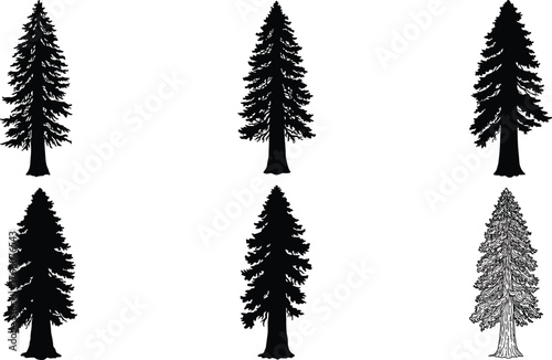 Tree silhouette collection, coniferous forest shapes, pine and fir icons, nature vector pack, black botanical trees, landscape design elements