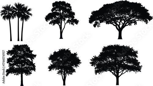Tree silhouette collection, tropical, deciduous, landscape design, nature illustration, black foliage, isolated trees, botanical shapes, forest elements, vector art