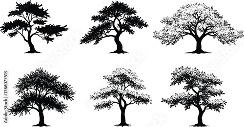 Tree silhouette illustration, diverse tree shapes, black vector trees, foliage density, branching pattern, nature art, landscape design, botanical elements