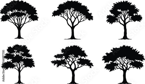 Tree silhouette pack, black tree shapes, botanical clipart, nature illustration, forest icons, landscape design, vector foliage, isolated trees, graphic art
