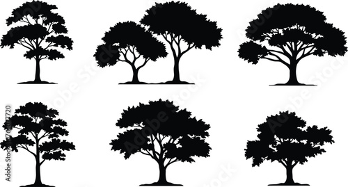 Tree silhouette set, black tree shapes, isolated vector trees, nature clipart, forest elements, botanical icons, landscape design, editable illustration