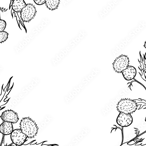 Delicate hand-drawn ink botanical frame featuring blooming burdock thistle branches on a clean white background. Elegant vintage floral border for invitations, herbal packaging, countryside stationery