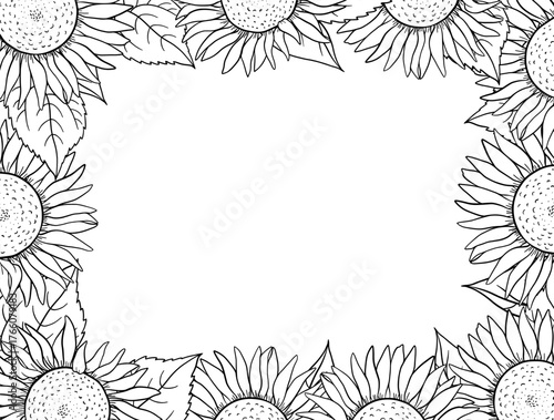 sunflower ink frame with large blooming heads forming a bright floral border and clean central space. Vintage hand drawn botanical illustration ideal for summer greeting card, organic product label