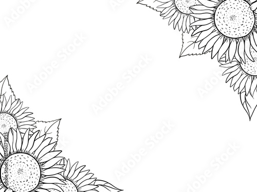 Hand drawn ink illustration with sunflower blossoms and leaves arranged in two diagonal corners, black and white corner frame. Suitable for greeting cards, packaging, invitations, stationery